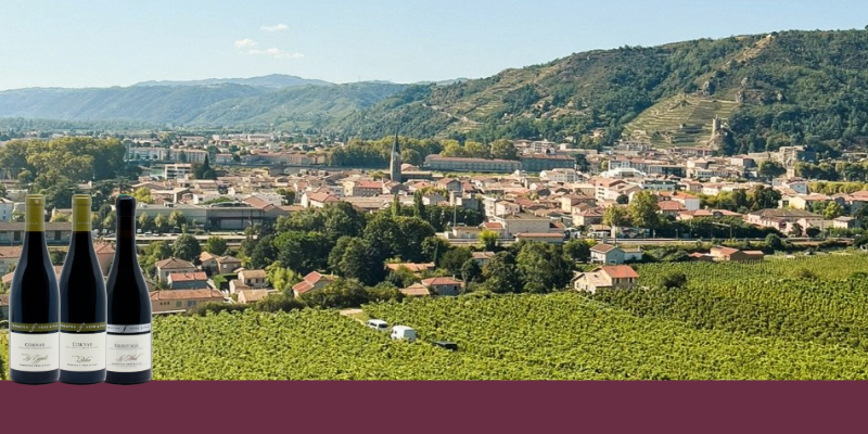 Ferraton P&egrave;re & Fils, une signature embl&eacute;matique des grands terroirs rhodaniens